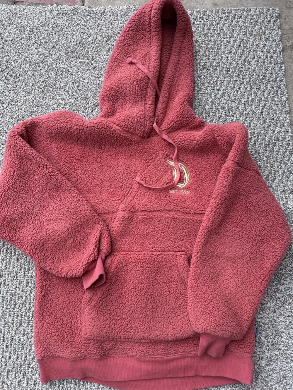 Disney Hoodie with Embroidered Disneyland  size Medium (Great condition